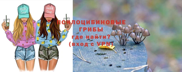 ешки Алексеевка