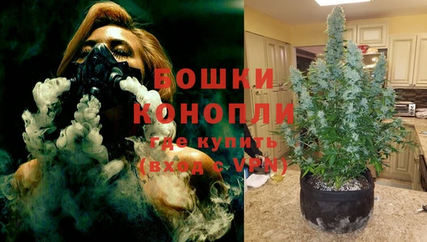 ешки Алексеевка