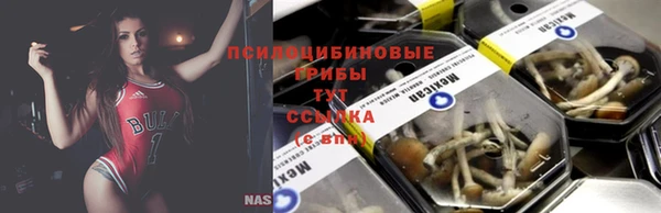 apvp Алексин