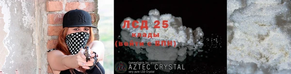 прущие грибы Алзамай