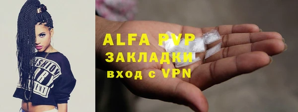 прущие грибы Алзамай