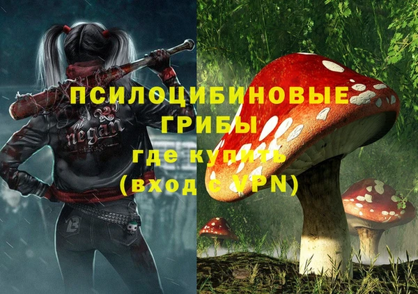 прущие грибы Алзамай