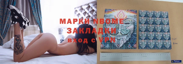 прущие грибы Алзамай