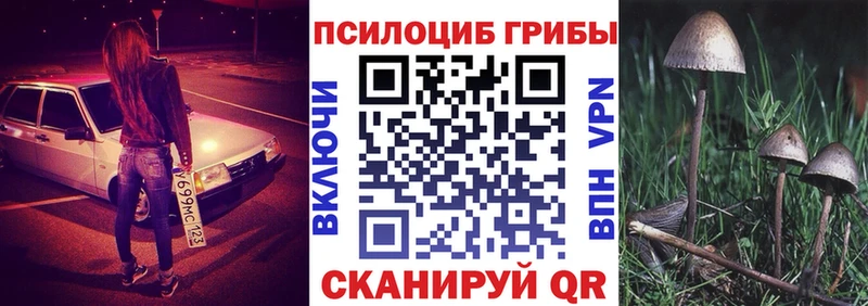 Псилоцибиновые грибы MAGIC MUSHROOMS  ссылка на мегу ССЫЛКА  Сольвычегодск 